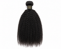 Kinky Curly Human Hair Bundle