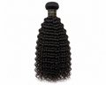 Water Wave Curly Human Hair.